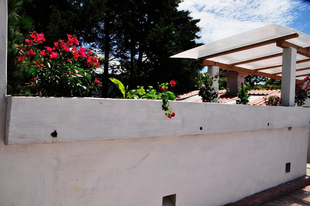 Planet Hostel San Cristobal de las Casas Exterior photo