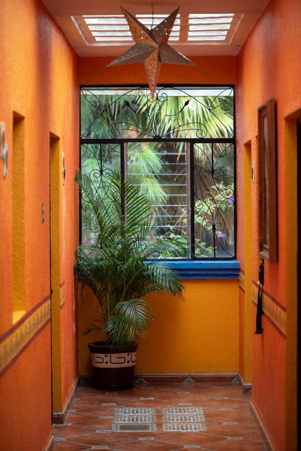 Planet Hostel San Cristobal de las Casas Exterior photo